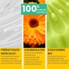 ΚΑΤΑΠΡΑΥΝΤΙΚΗ ΚΡΕΜΑ 40ml - Pulpe De Vie